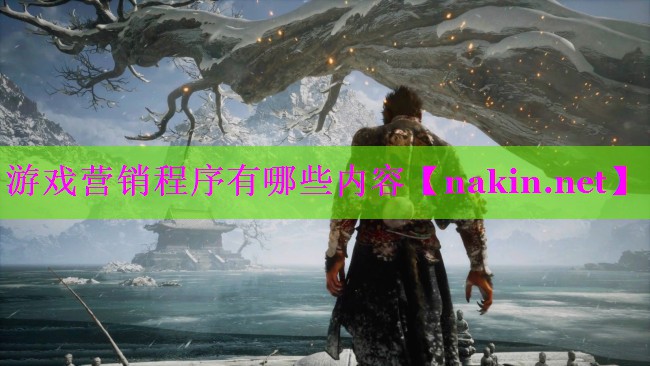 游戏营销程序有哪些内容