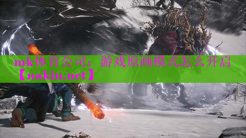 mk体育公司：游戏原画模式怎么开启